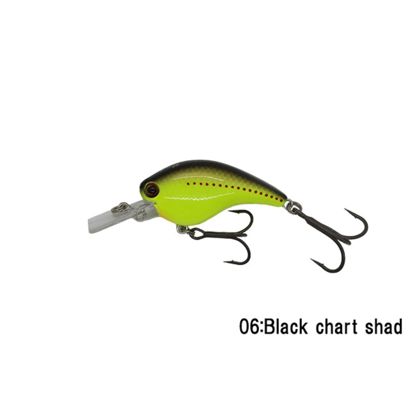 RC Flat Shad