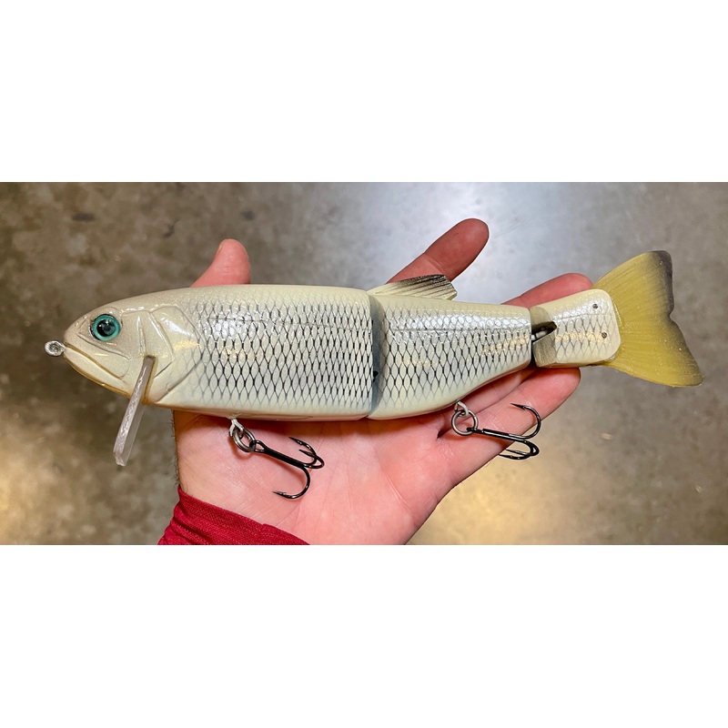 10 inch Trout Wake