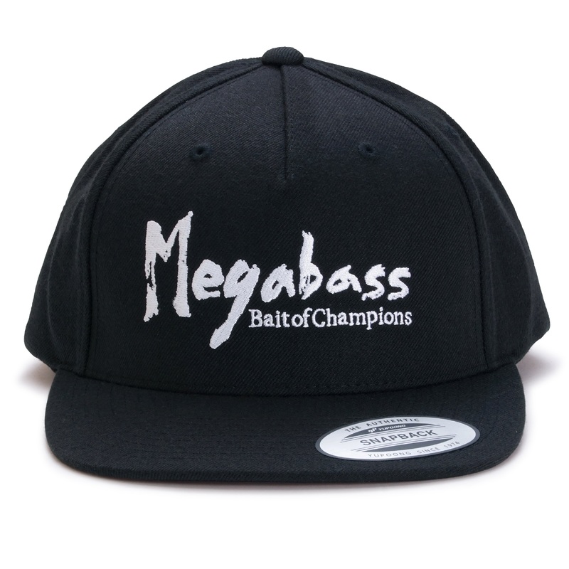Brush Snapback Hat