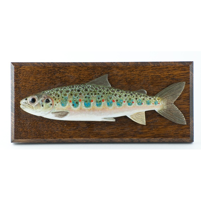 Brookes, Roger – Salmon Parr Carving