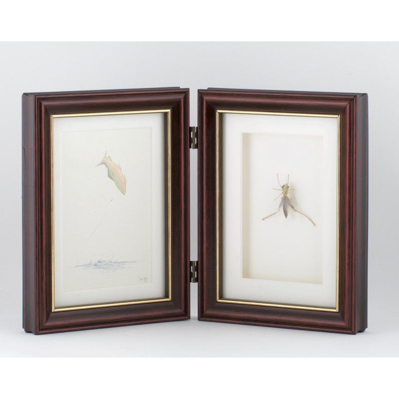 Betts, John – Framed Flies